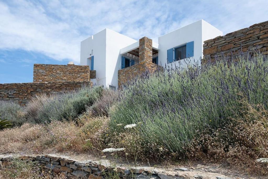 Luxury Cycladic Villa-Enjoy Infinity Pool Sunsets Koundouros Dış mekan fotoğraf